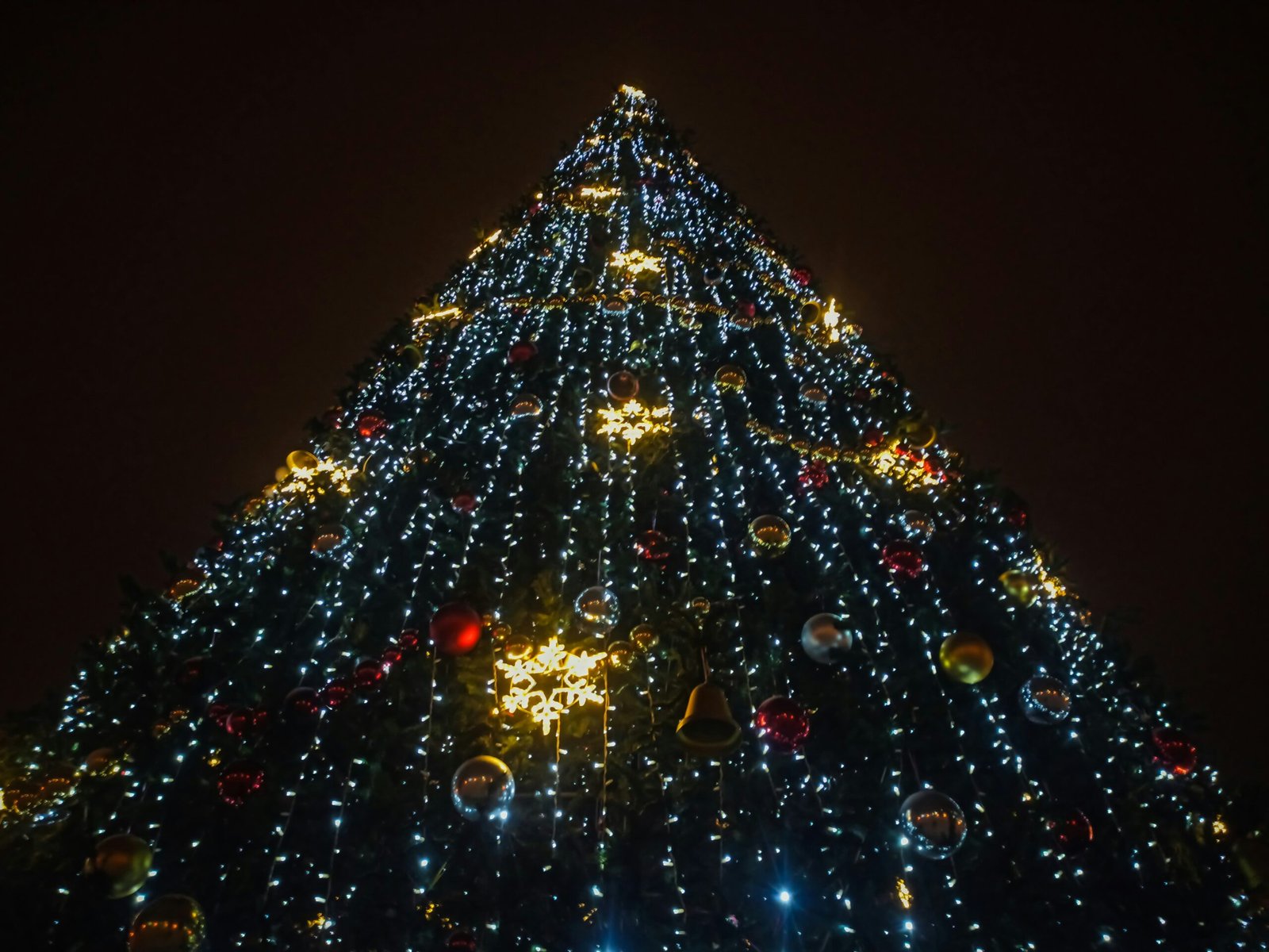 a large christmas tree is lit up at night